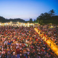 Volunteering with Local Arts and Culture Organizations in Northern Virginia