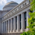 Exploring the Unique Cultural Offerings of Northern Virginia