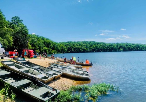 A Guide to the Best Cultural Performances in Northern Virginia